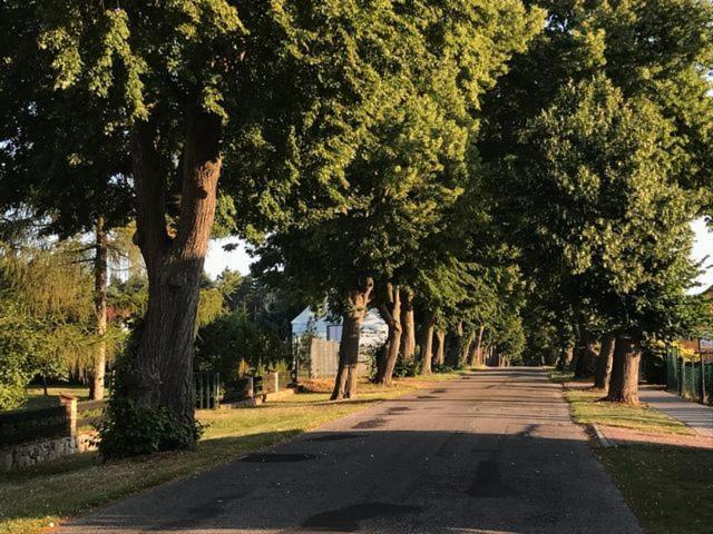 Siesta Country Βίλα Σwiebodzin Εξωτερικό φωτογραφία